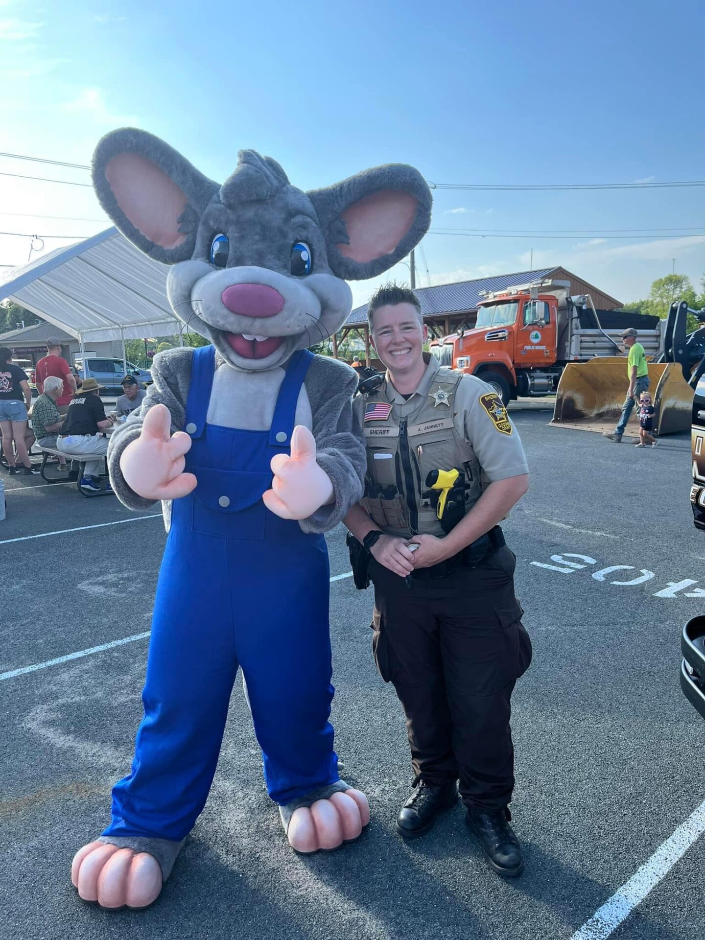 Pine Island Cheese Festival picture